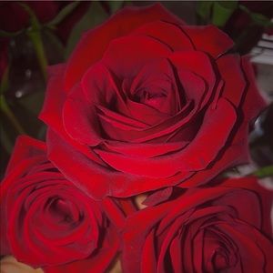 Meet your Posher, Crystal